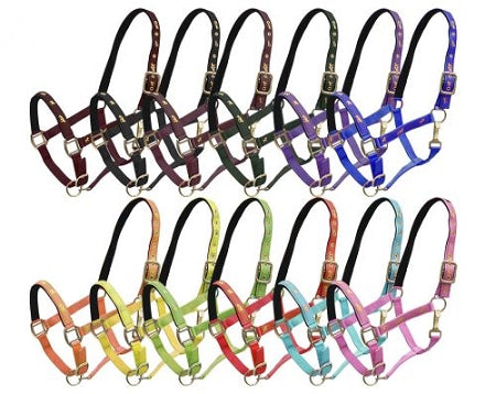 Running Horse Halter