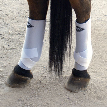 Equine Support Boots