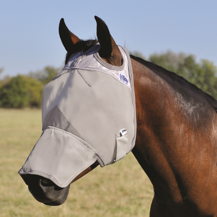 Standard Fly Mask