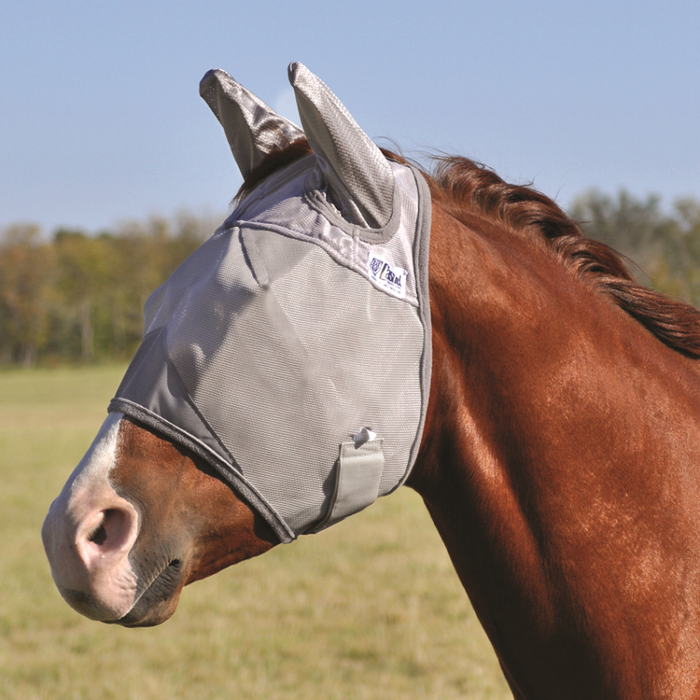 Standard Fly Mask