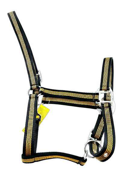 Orange/Black Horse Halter