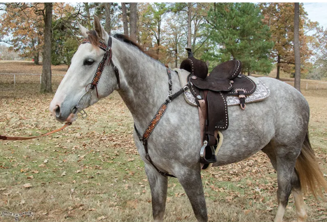 Josey Cash Go Round Barrel Saddle | Made in USA!
