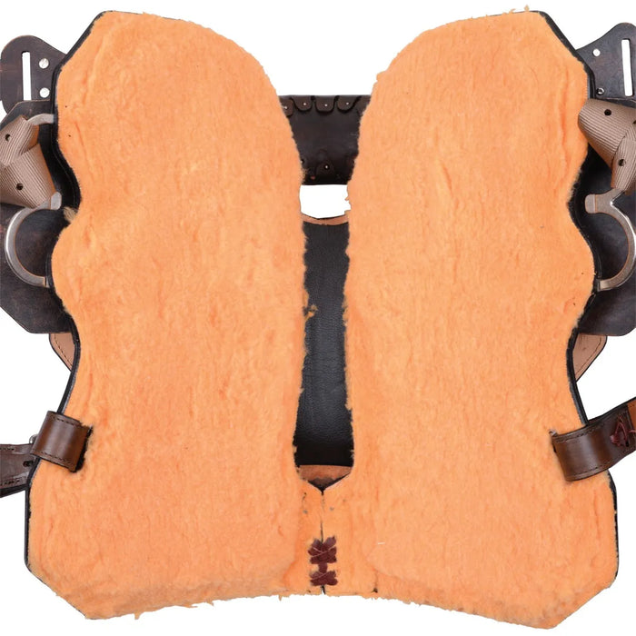 Josey Gold Buckle Cash