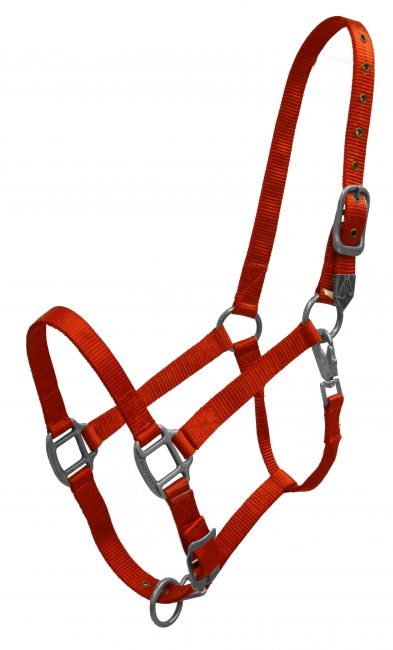 Premium Nylon Halter