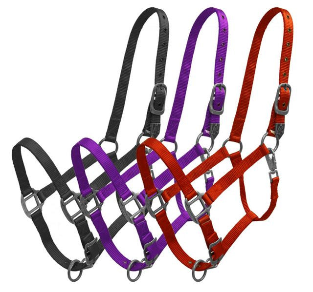 Halters & Lead Ropes — Rodeo Hard