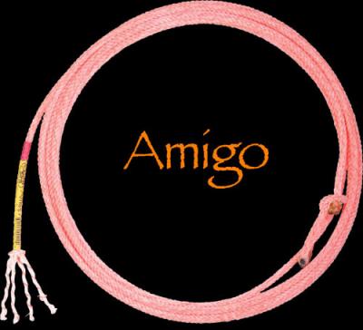 Amigo Team Rope